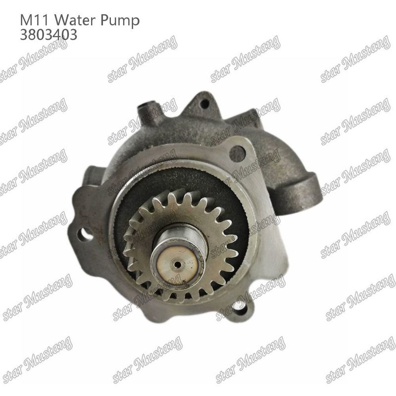 Water Pump M11 4955706 4926553 Short Shaft For CUMMINS Diesel Engine Repair Parts