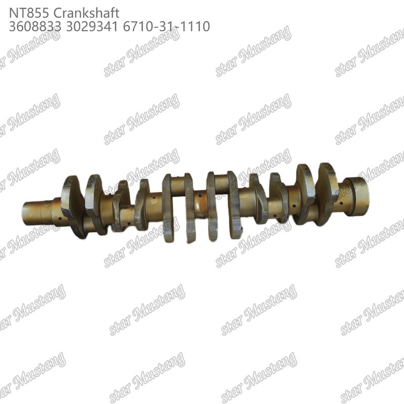 Crankshaft NT855 Forged Steel 3608833 3029341 6710-31-1110 For Cummins Diesel Engine Parts
