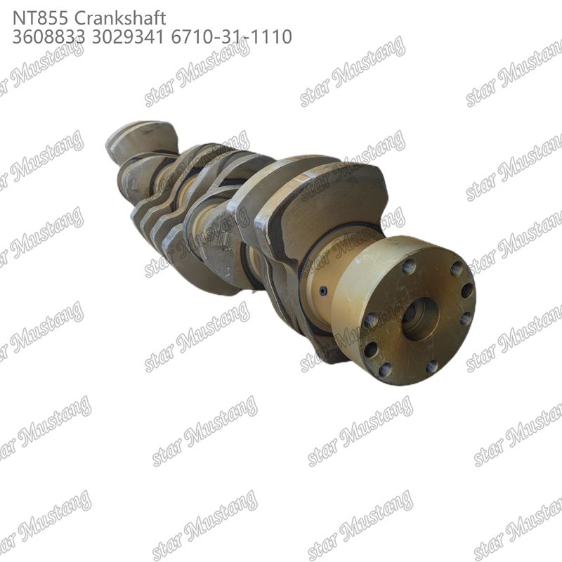 Crankshaft NT855 Forged Steel 3608833 3029341 6710-31-1110 For Cummins Diesel Engine Parts