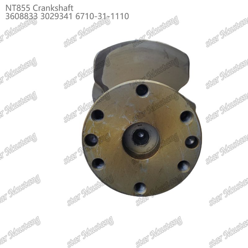 Crankshaft NT855 Forged Steel 3608833 3029341 6710-31-1110 For Cummins Diesel Engine Parts
