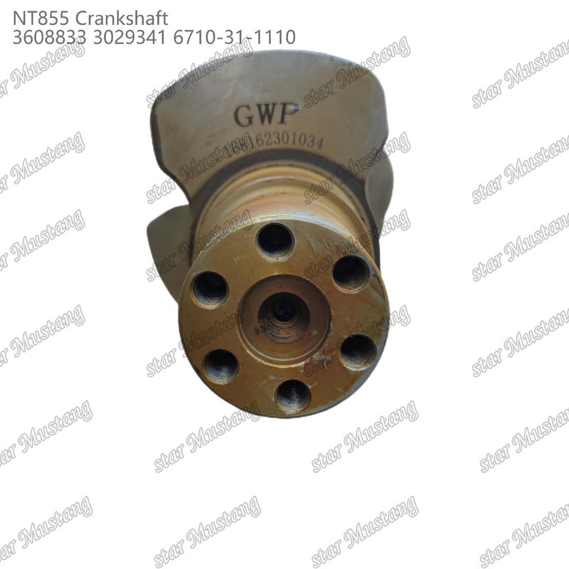 Crankshaft NT855 Forged Steel 3608833 3029341 6710-31-1110 For Cummins Diesel Engine Parts