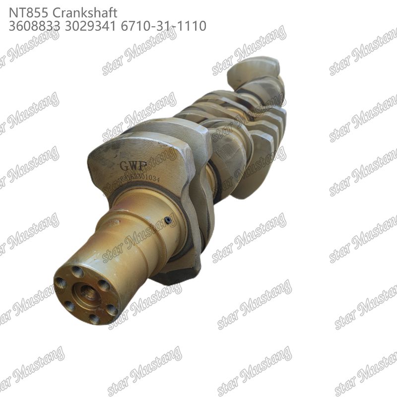 Crankshaft NT855 Forged Steel 3608833 3029341 6710-31-1110 For Cummins Diesel Engine Parts
