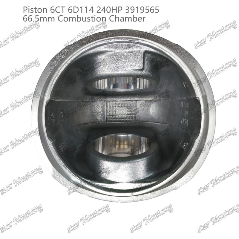Piston 6CT 6D114 240HP 3919565 66.5mm Combustion Chamber For Cummins Diesel Engine Repair Parts