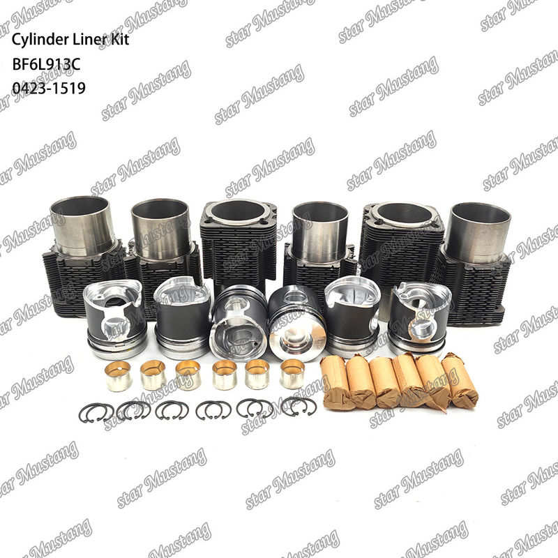 New Condition Diesel Engine Type Liner Kit For BF6L913C 0423-1519