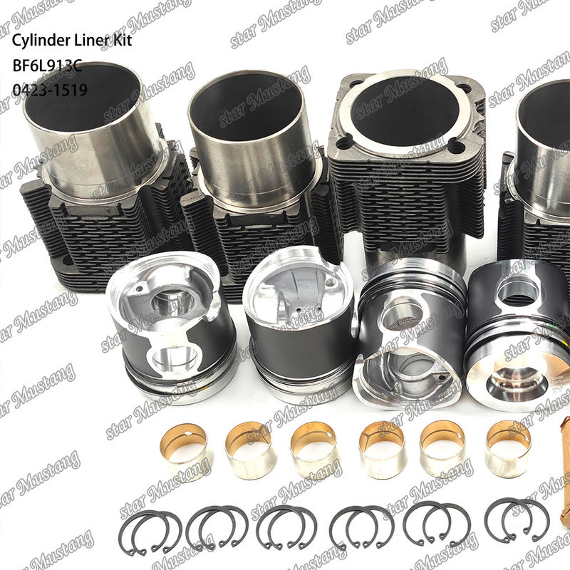 New Condition Diesel Engine Type Liner Kit For BF6L913C 0423-1519