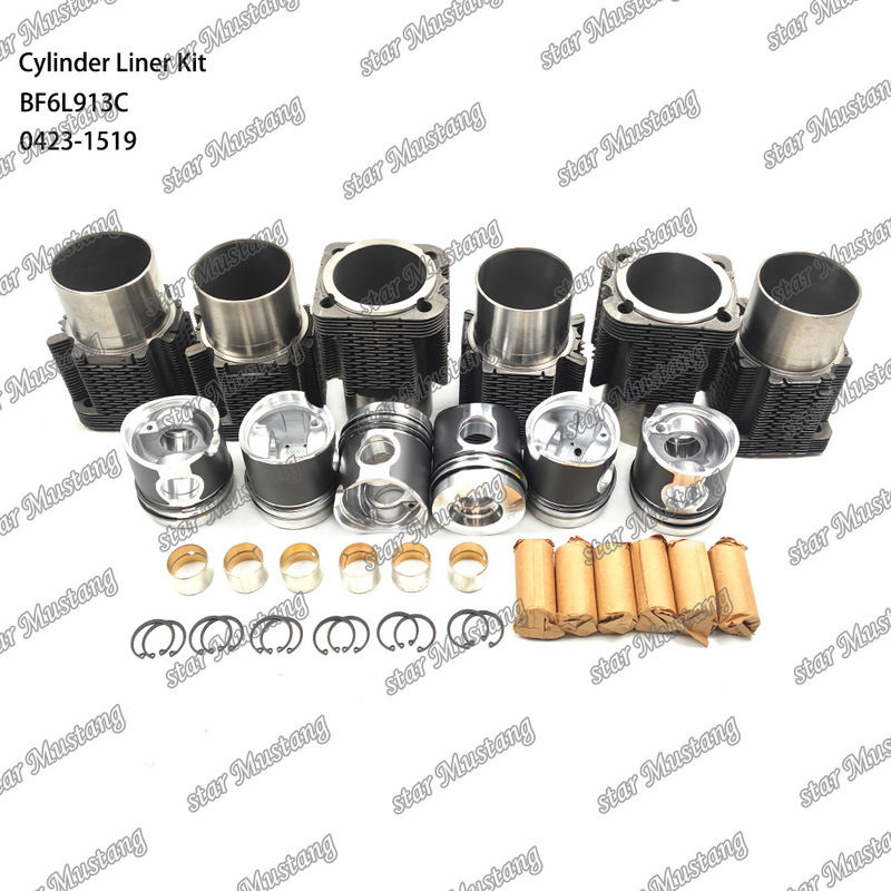 New Condition Diesel Engine Type Liner Kit For BF6L913C 0423-1519