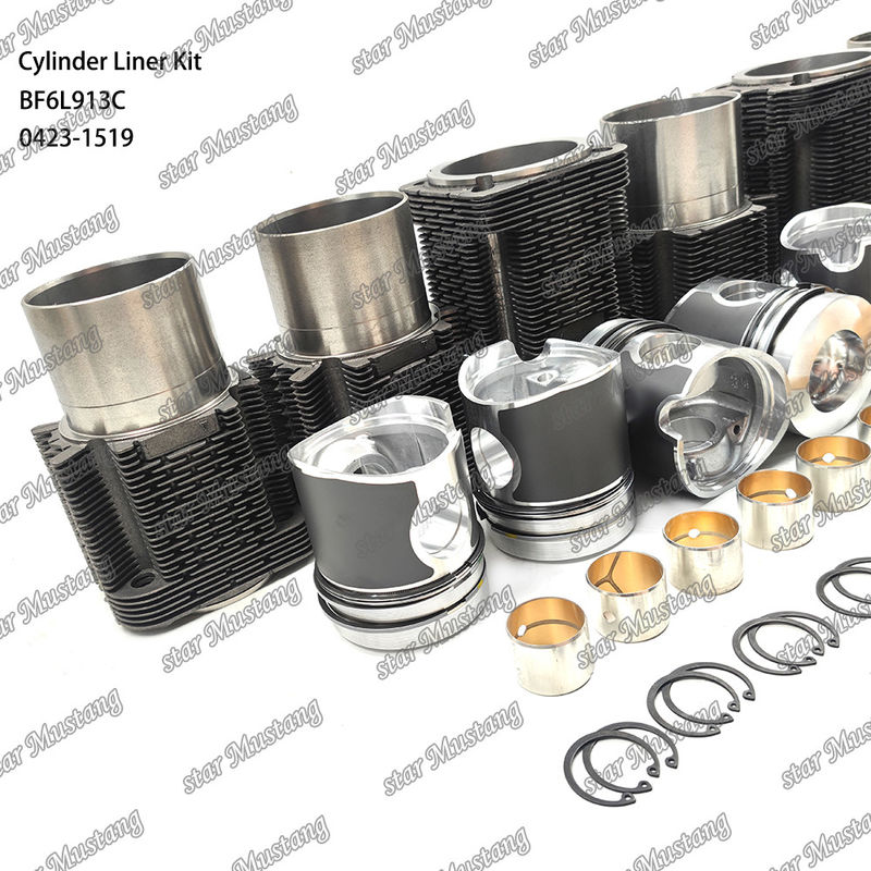 New Condition Diesel Engine Type Liner Kit For BF6L913C 0423-1519