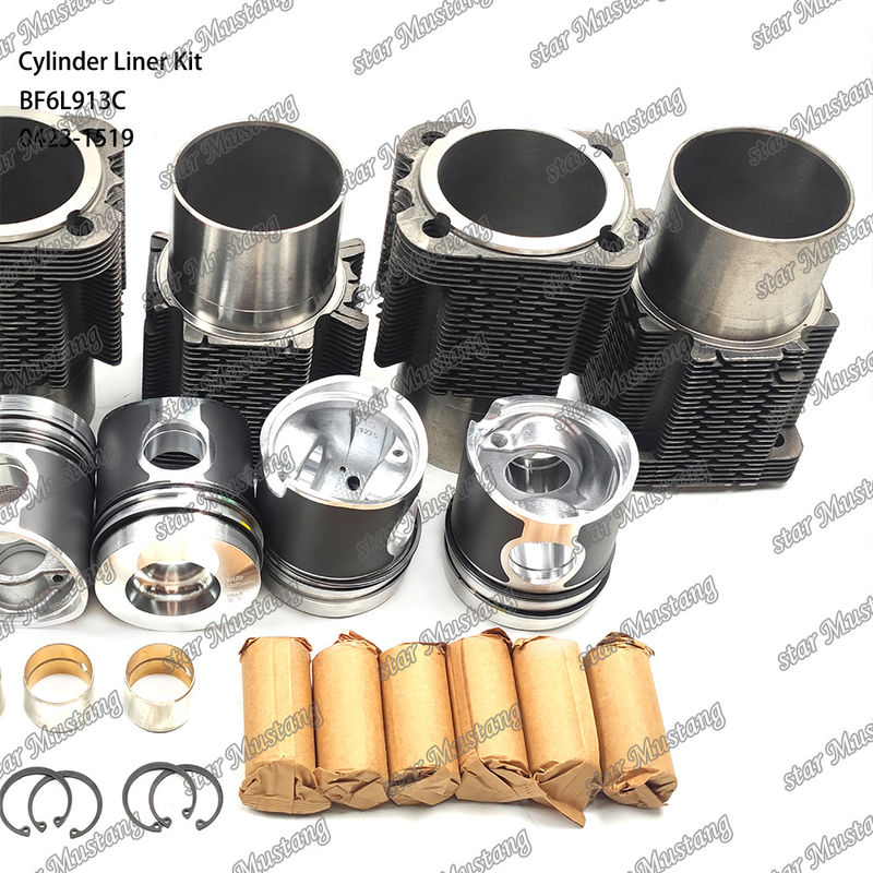 New Condition Diesel Engine Type Liner Kit For BF6L913C 0423-1519