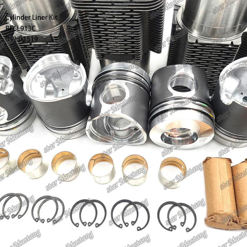 New Condition Diesel Engine Type Liner Kit For BF6L913C 0423-1519