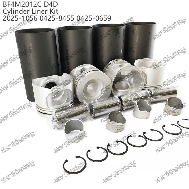 Engine Piston Kit for Heavy-Duty Vehicles BF4M2012C D4D 2025-1056 0425-8455 0425-0659