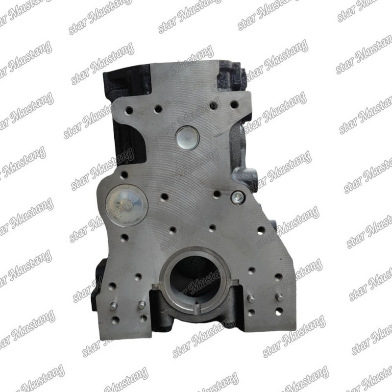 Cylinder Block 4TNE94 Double Water Channel For Excavator For YANMAR Engine Spare Parts