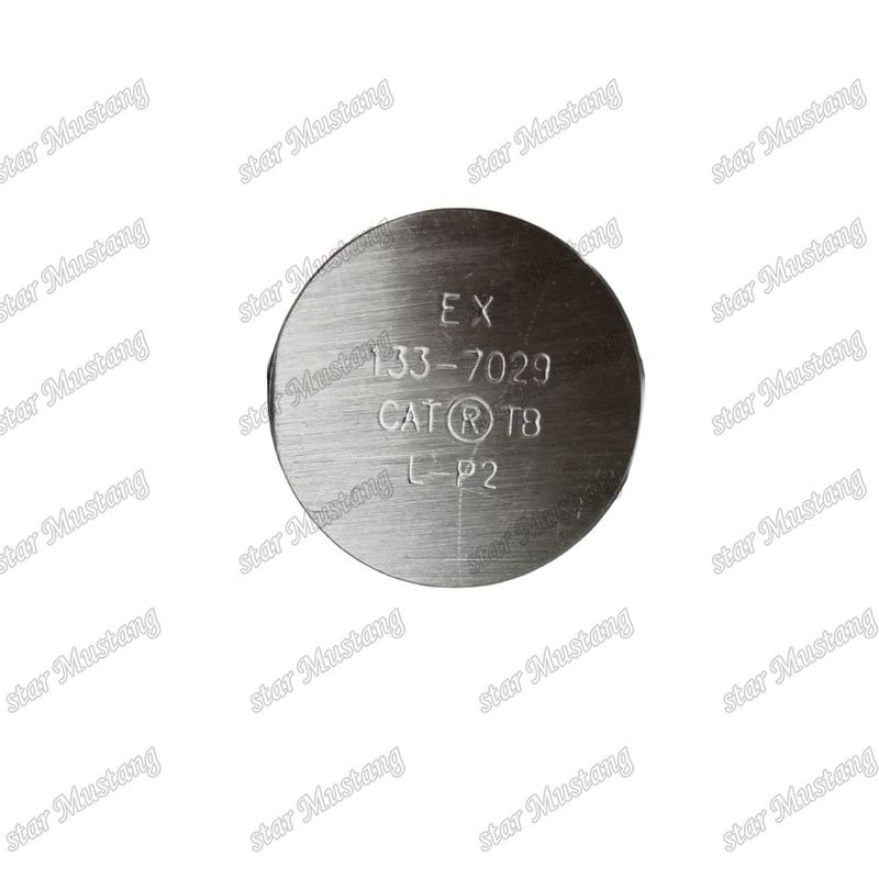 3176C C10 IN 7E9578 EX 133-7029 Valve for Caterpillar Engine Spare Parts