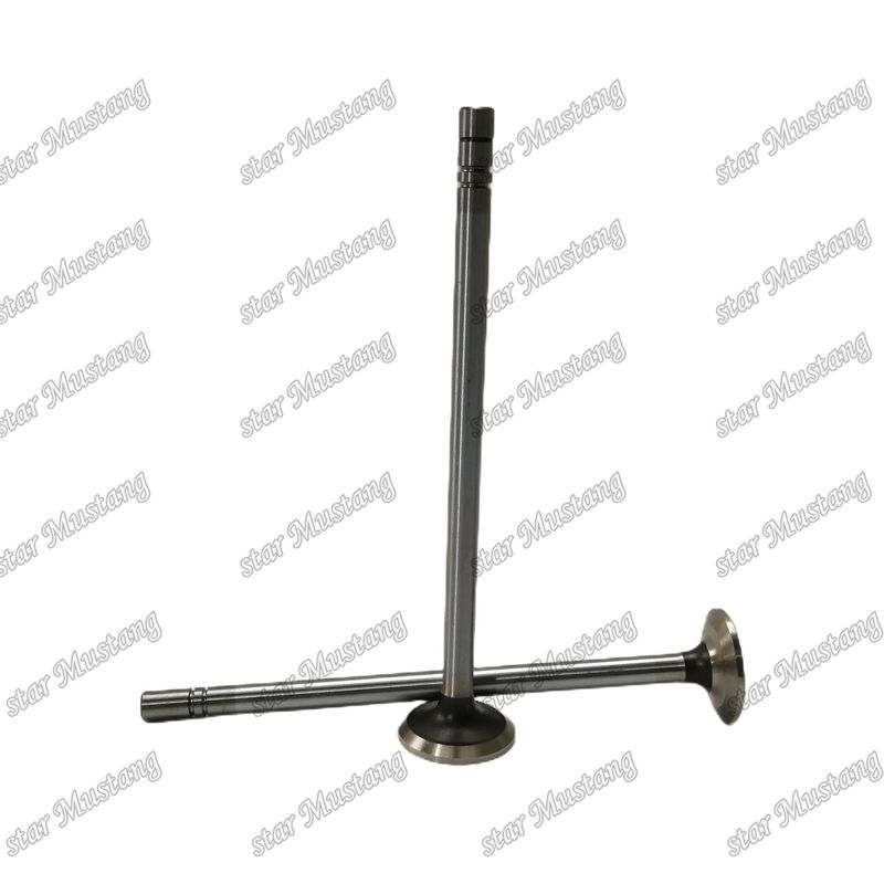 Stock Valve C-9 ex 188-3122 in 163-2442 Suitable For Caterpillar Engine Spare Parts