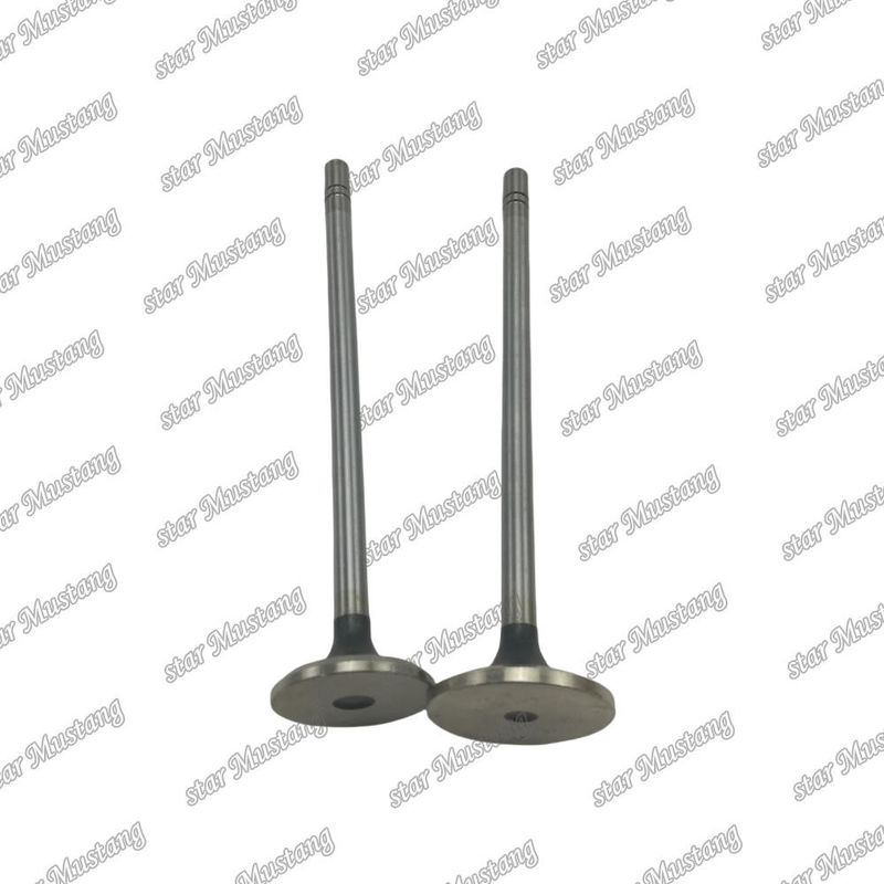 Valve C15 in 153-7023 ex 153-7024  Suitable For Caterpillar Engine Spare Parts