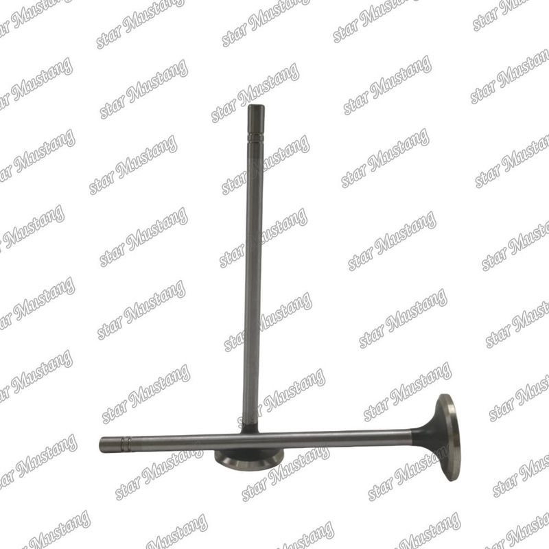 Valve C15 in 153-7023 ex 153-7024  Suitable For Caterpillar Engine Spare Parts
