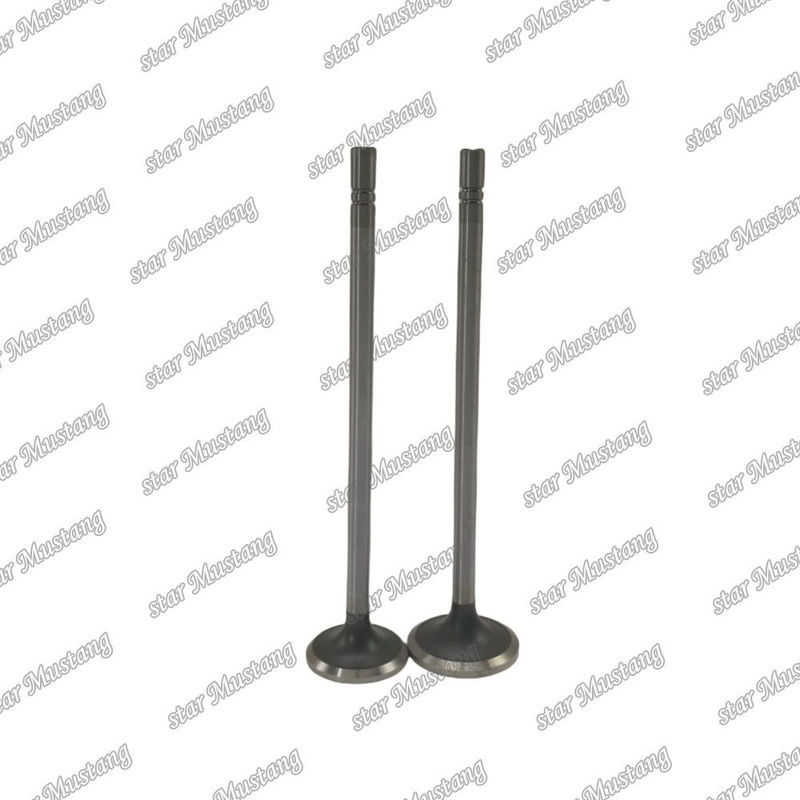 Valve C15 in 153-7023 ex 153-7024  Suitable For Caterpillar Engine Spare Parts
