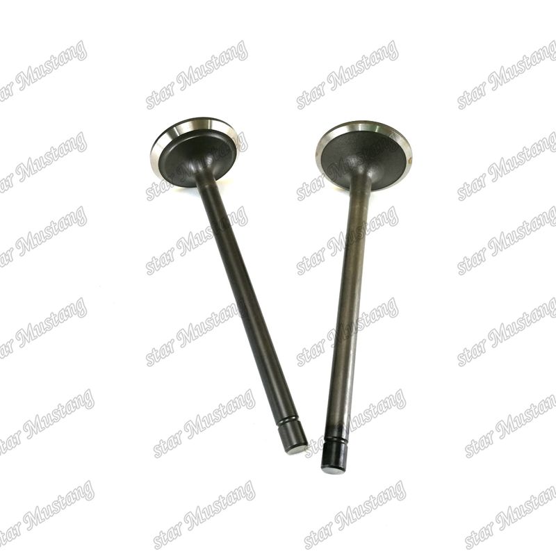 Diesel Engine Spare Parts Valve for Komatsu 6D140 EFI IN 6217-41-4110 EX 6215-41-4212