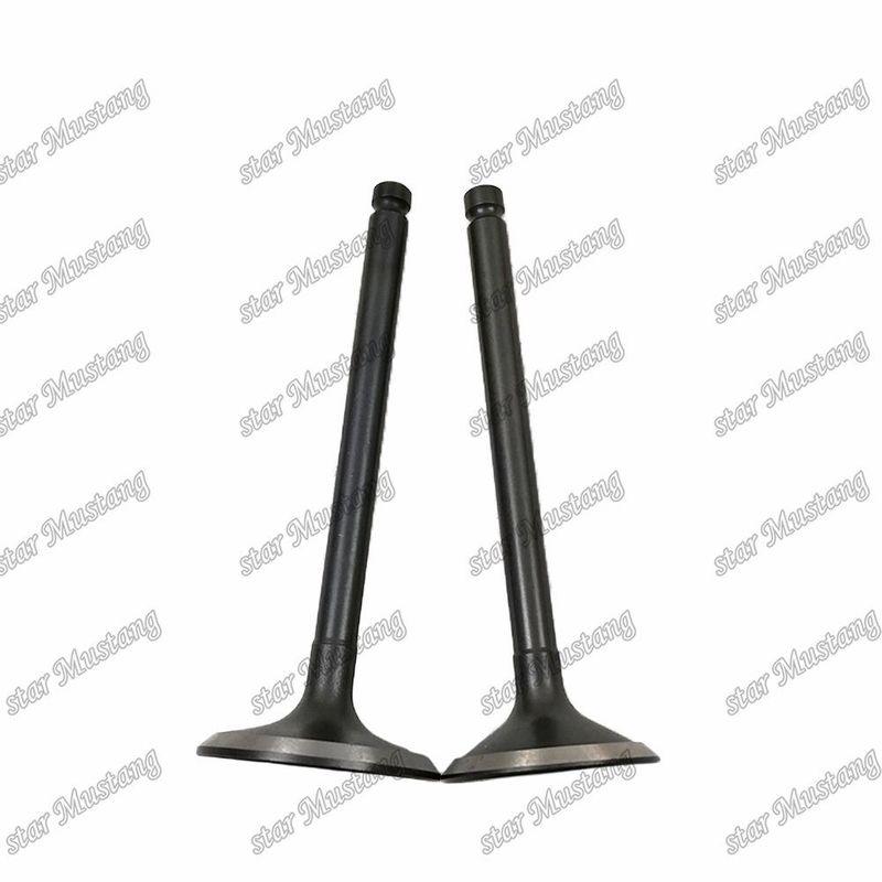 Valve 3KR1 8941190881 8-94119088-1 5125520462 5-12552046-2 For Isuzu Engine Spare Parts