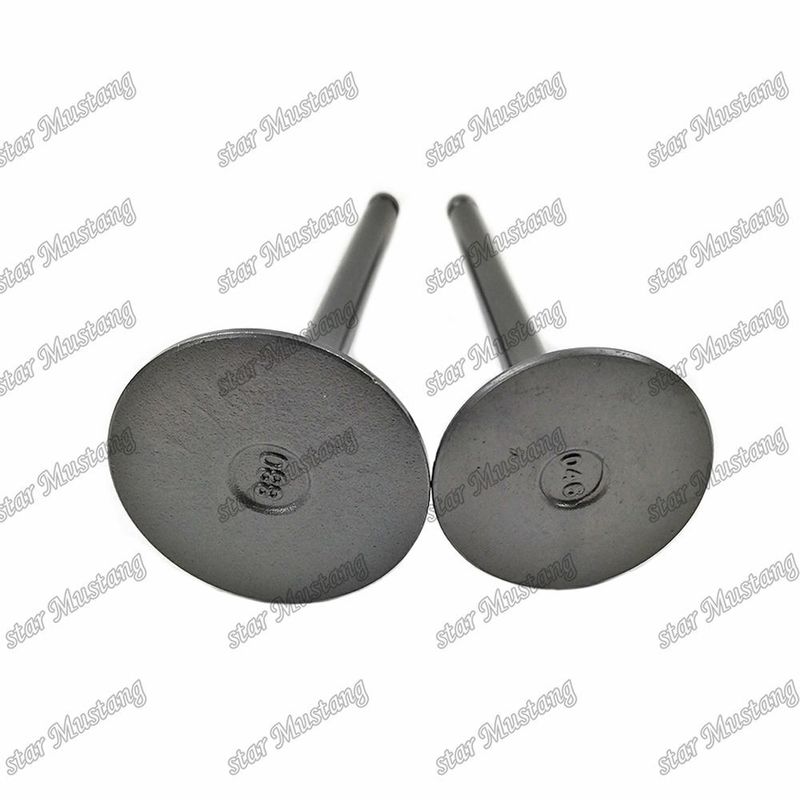 Valve 3KR1 8941190881 8-94119088-1 5125520462 5-12552046-2 For Isuzu Engine Spare Parts