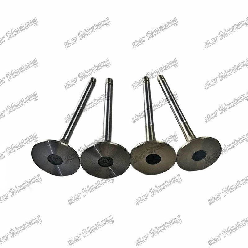 Valve 4HL1 IN 8-94395-113-1 EX 8-94395-462-0 Suitable For Isuzu Engine Spare Parts
