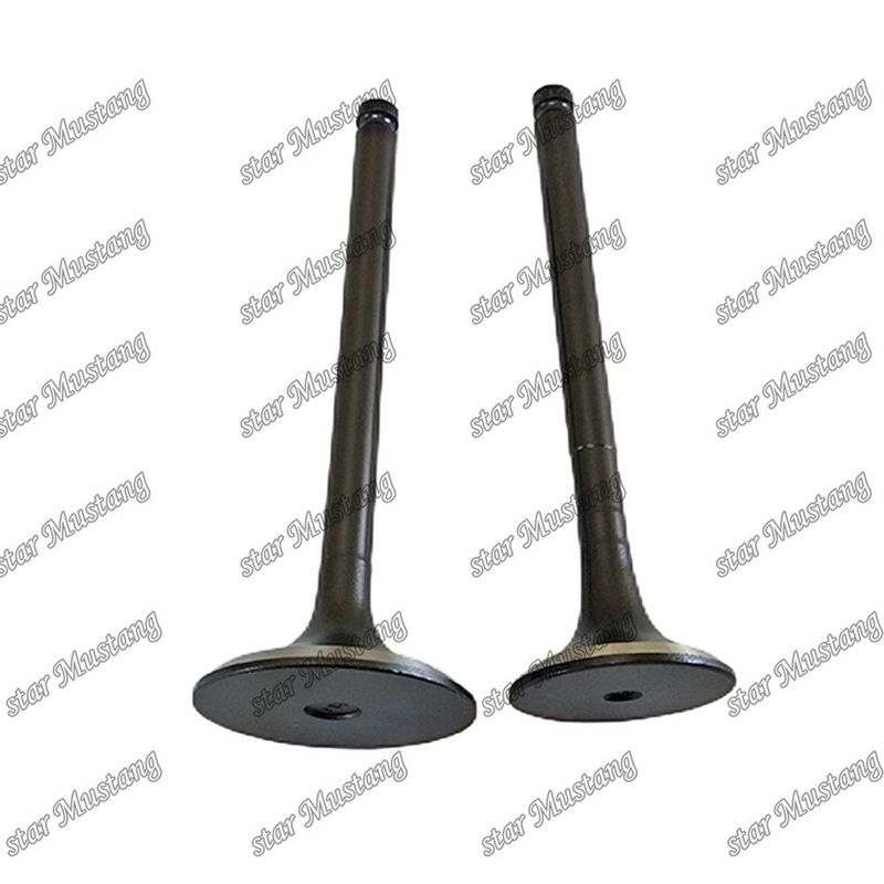 Valve 6BF1 IN 1-12551-139-0 EX 1-12552-706-0 Suitable For Isuzu Engine Spare Parts