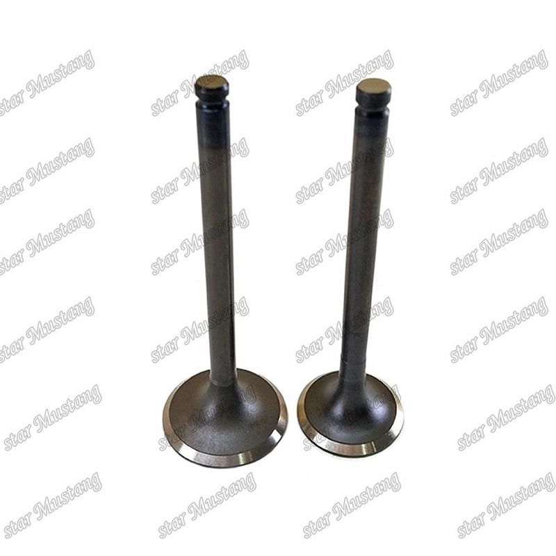 Valve C240 ​​IN 5-12551-028-0 EX 5-12552-034-0  Suitable For Isuzu Engine Spare Parts
