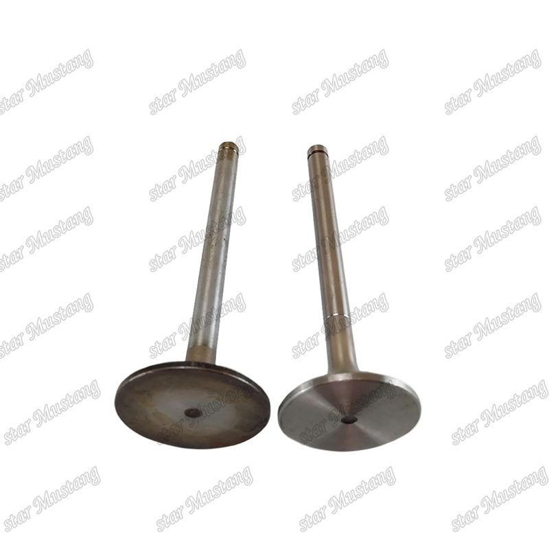 Valve EK100 EK130 EF750 13715-1060 13711-1450  Suitable For Hino Engine Spare Parts