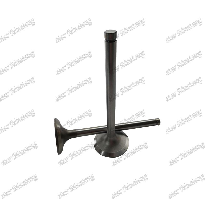 Valve EK100 EK130 EF750 13715-1060 13711-1450  Suitable For Hino Engine Spare Parts