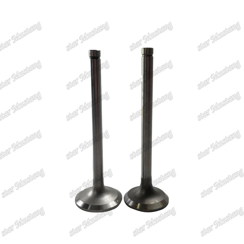 Valve EK100 EK130 EF750 13715-1060 13711-1450  Suitable For Hino Engine Spare Parts