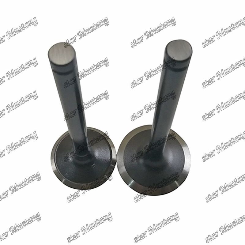 Valve W06D W06E 13711-1521 13715-1570 Suitable For Hino Engine Spare Parts