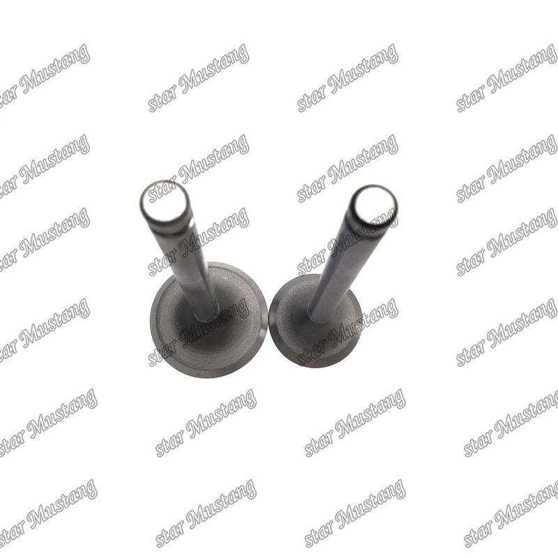 ENGINE Valve DB33 65.02500-0001 65.02500-0002 Suitable For Doosan Engine Spare Parts