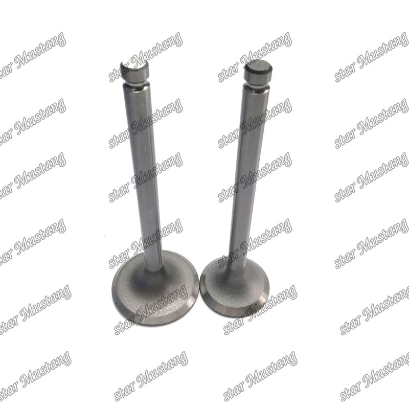 ENGINE Valve DB33 65.02500-0001 65.02500-0002 Suitable For Doosan Engine Spare Parts