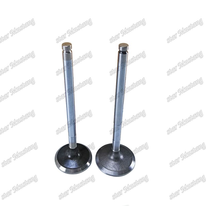 Diesel Valve DE08 IN 65.01611-2031 EX 65.01611-2042 Suitable For Doosan Engine Spare Parts