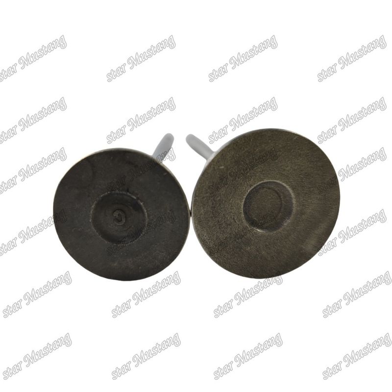 Valve QSF2.8 IN 5261320 EX 5256949 Suitable For Cummins Engine Spare Parts