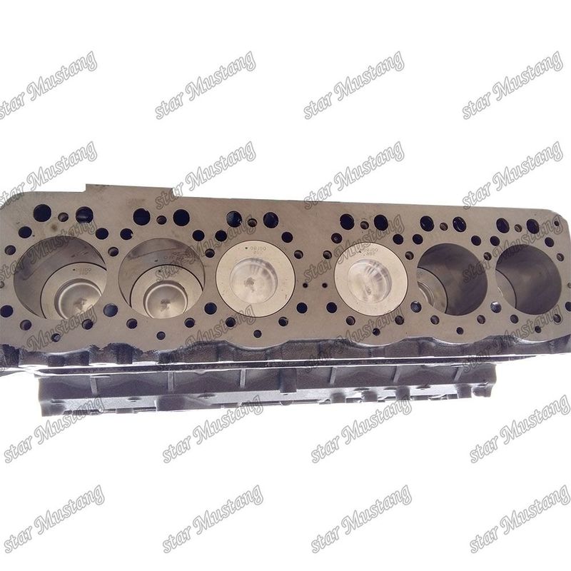 Integral Structure Short Block S6K 5I7613 34307-01010 Diesel Engine Part for Performance and 6 Months