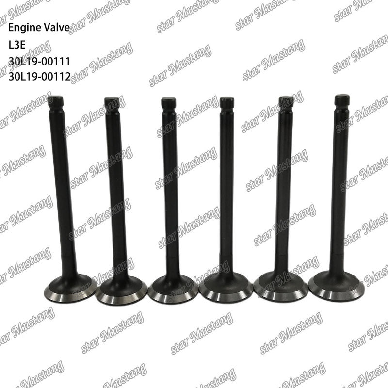L3E 30L19-00111 30L19-00112 Diesel Engine Valve Suitable for Mitsubishi Spare Parts
