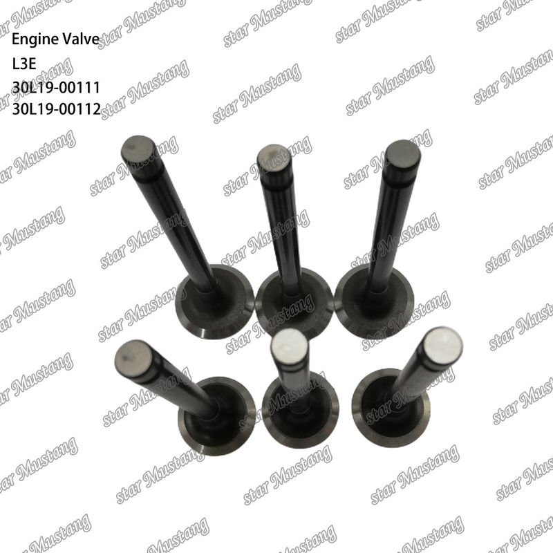 L3E 30L19-00111 30L19-00112 Diesel Engine Valve Suitable for Mitsubishi Spare Parts