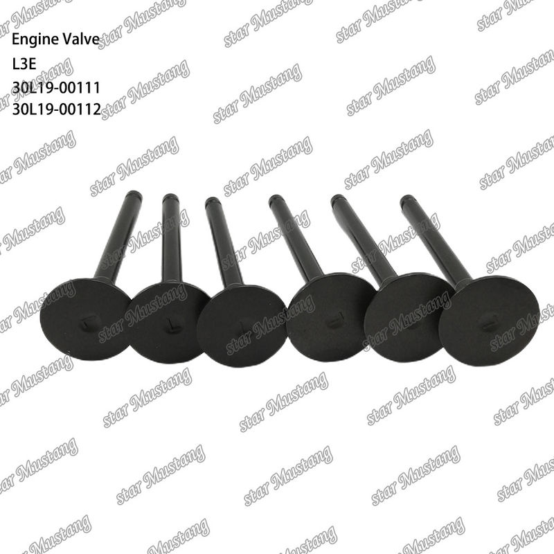 L3E 30L19-00111 30L19-00112 Diesel Engine Valve Suitable for Mitsubishi Spare Parts