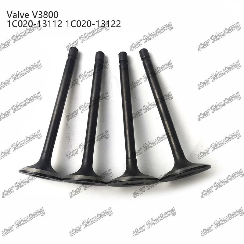 V3800 1C020-13112 1C020-13122 Diesel Engine Part Original Stock Integral Structure Valve with Online Support