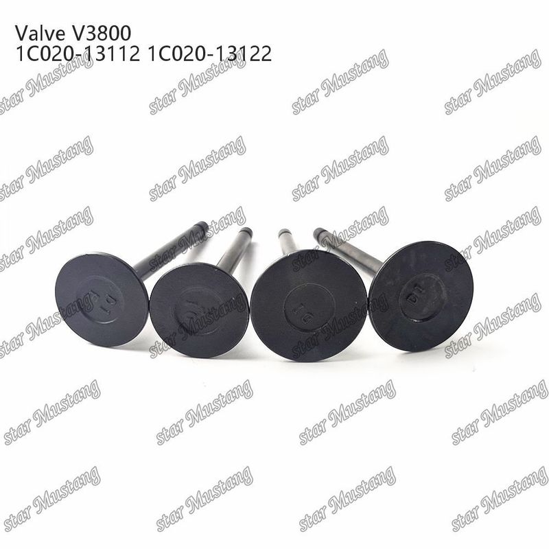 V3800 1C020-13112 1C020-13122 Diesel Engine Part Original Stock Integral Structure Valve with Online Support