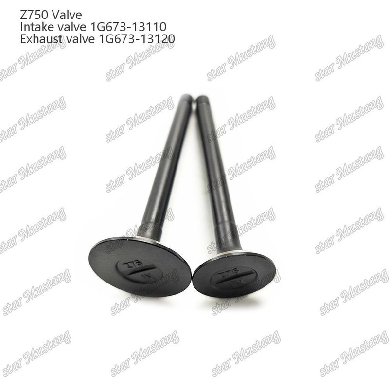 Integral Structure Valve Z750 1G673-13110 1G673-13120 Diesel Engine Part Original Stock with Online Support After