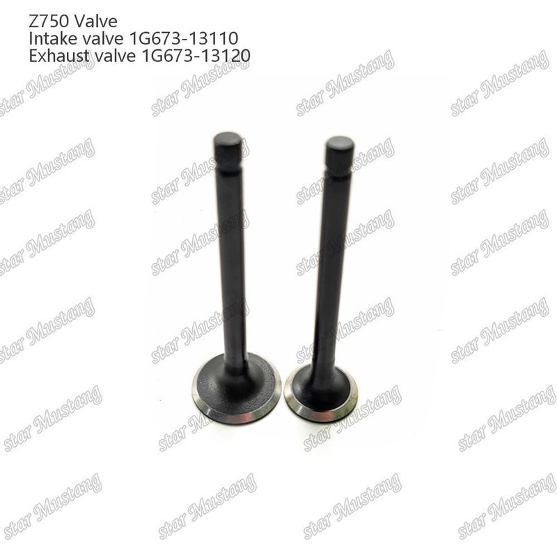 Integral Structure Valve Z750 1G673-13110 1G673-13120 Diesel Engine Part Original Stock with Online Support After