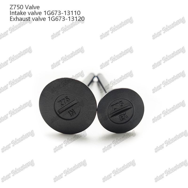 Integral Structure Valve Z750 1G673-13110 1G673-13120 Diesel Engine Part Original Stock with Online Support After