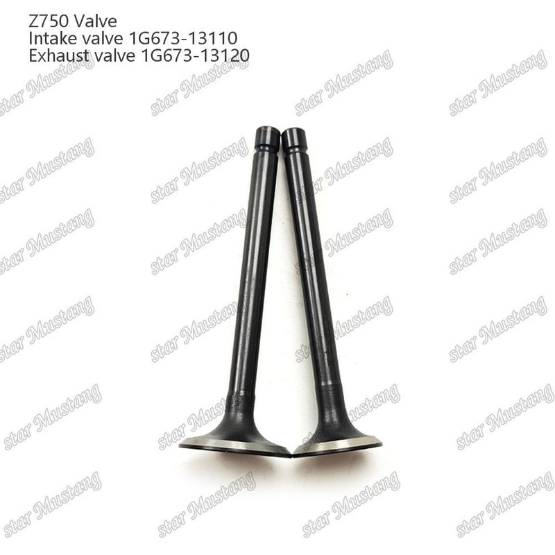 Integral Structure Valve Z750 1G673-13110 1G673-13120 Diesel Engine Part Original Stock with Online Support After