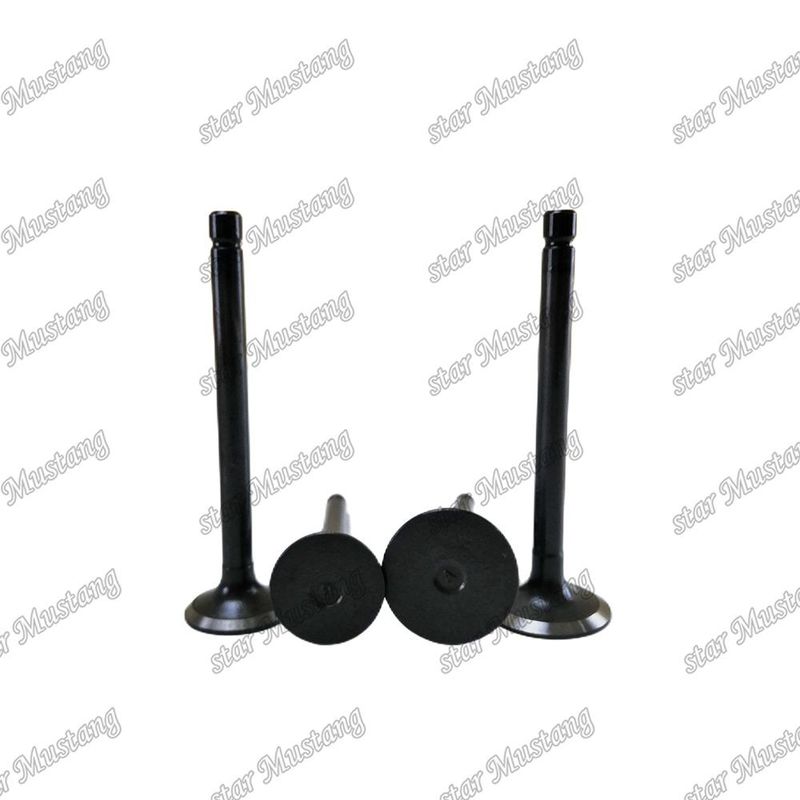 Integral Structure Valve Z751 DH1101 D1102 D1301 D1302 D1402 V1501 V1702 V1902 S2600 S2800 IN 15221-13110 EX 15221-13120 Diesel Engine Part Original Stock with Online Support