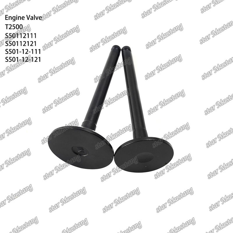 Integral Structure Valve T2500 S50112111 S50112121 S501-12-111 S501-12-121 Diesel Engine Part Original Stock with Online Support After