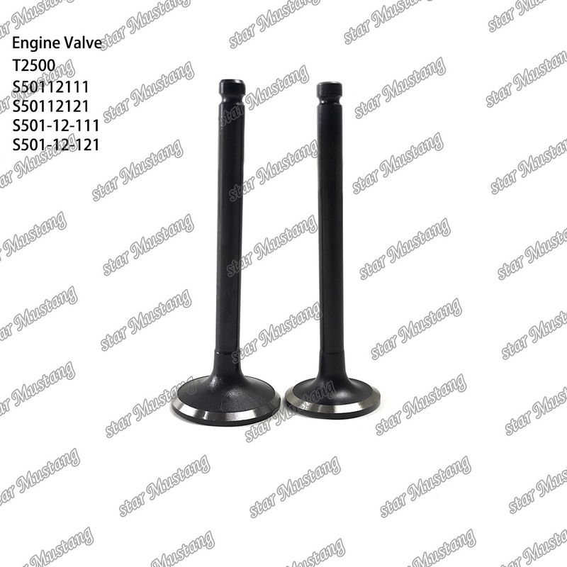 Integral Structure Valve T2500 S50112111 S50112121 S501-12-111 S501-12-121 Diesel Engine Part Original Stock with Online Support After