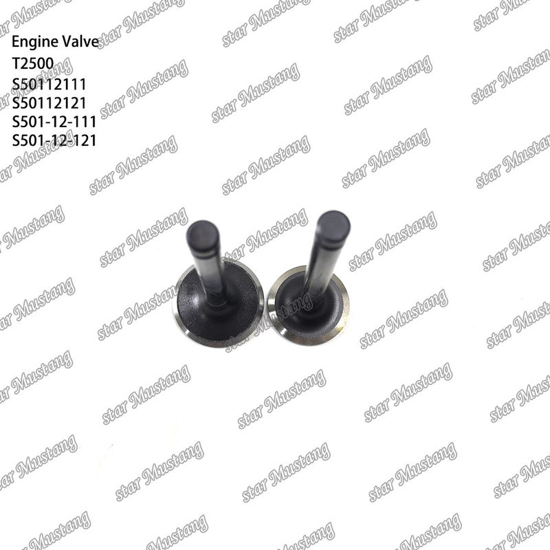 Integral Structure Valve T2500 S50112111 S50112121 S501-12-111 S501-12-121 Diesel Engine Part Original Stock with Online Support After