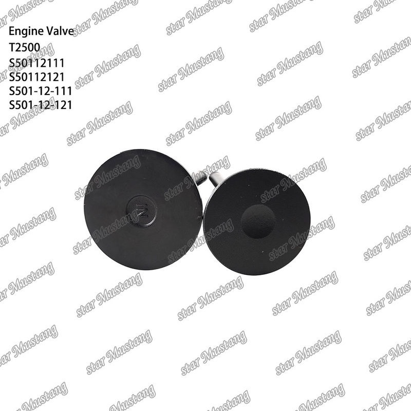 Integral Structure Valve T2500 S50112111 S50112121 S501-12-111 S501-12-121 Diesel Engine Part Original Stock with Online Support After