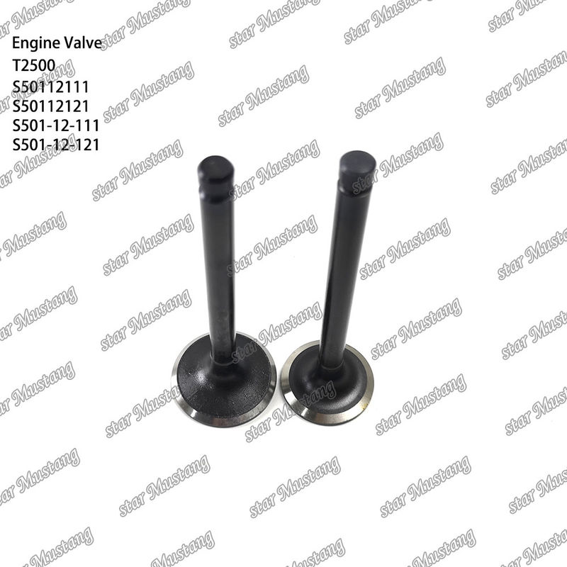 Integral Structure Valve T2500 S50112111 S50112121 S501-12-111 S501-12-121 Diesel Engine Part Original Stock with Online Support After